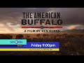 The American Buffalo: Blood Memory - Preview