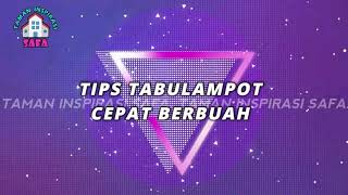 # TIS # TIPS AGAR TABULAMPOT CEPAT BERBUAH #KEBUNBIBITSAFA