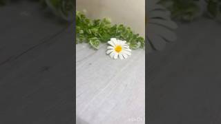 Blooming beauty made with just paper &amp; creativity ✨#diy #reels #trending
