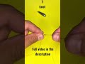 T - knot 🪢 Best fishing knots