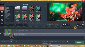 Ultimate Guide: Downloading and Editing Videos with Movavi Video Editor on Windows | Tech Tonic