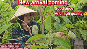 Nhiều cây trồng nhiệt đới mới về, hoa trái sum suê, cây khỏe mạnh, giá rẻ kính mời EKT Nursery 