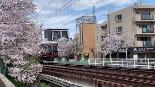 【阪急神戸線】武庫之荘駅周辺の桜と阪急7000系リニューアル車　2019/4