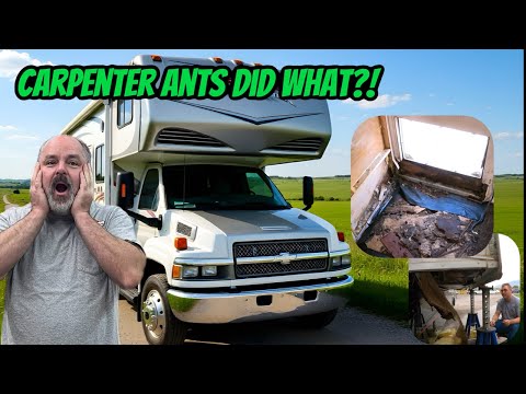 ماذا سنفعل بهذا الشأن