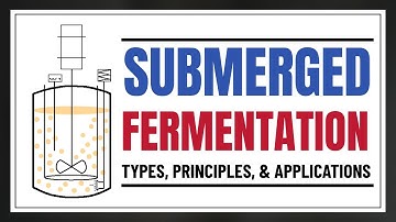 Submerged Fermentation: Principles, Methods, Applications, and Limitations | Biotechnology Lectures