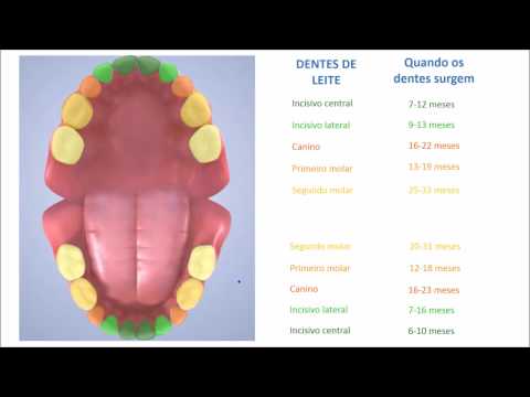 Vídeo: Dentes Decíduos - Também Conhecidos Como Dentes Primários Ou Do Bebê