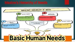 شرح محاضرة Basic human needs محمود حسين ✨ بتاريخ 8/10/2025 الأربعاء (semester (1