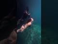 Dive into a mystical cove - Hagukan