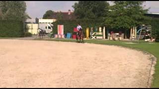 VID 20140729 WA0005 1