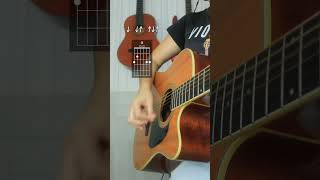 Vídeo de Você Mitou