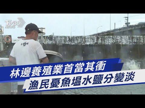 林邊養殖業首當其衝 漁民憂魚塭水鹽分變淡｜TVBS新聞 @TVBSNEWS01
