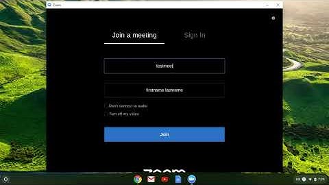 Changing Names in Zoom (chromebook)