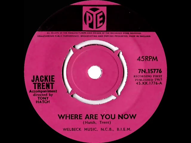 Where Are You Now (Jackie Trent song) - Wikipedia