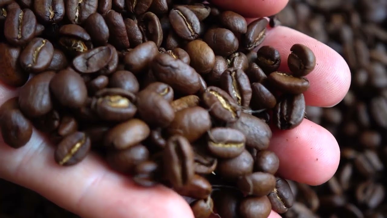 What is micro roasting? | Springline Coffee Interview