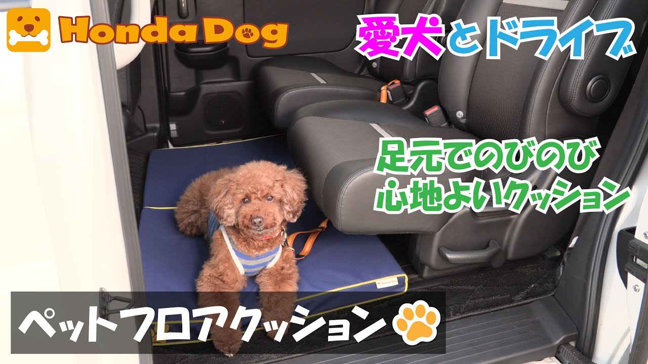 Honda純正 Honda Dog ペットシートプラスわん 愛犬とドライブ Youtube