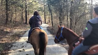 Missouri Residents Upset Over Ban of Riding Horses in Parks