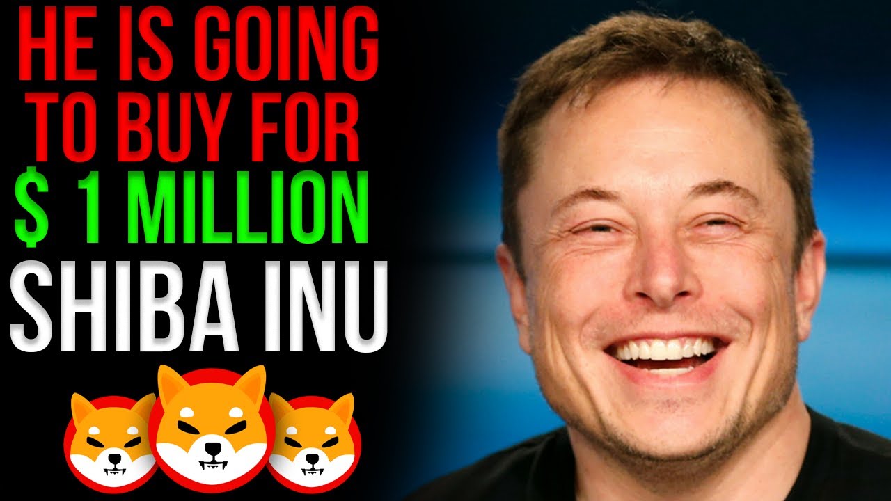 Elon Musk Says Invest In SHIB Now! Shiba Inu Price Prediction 2021 - YouTube