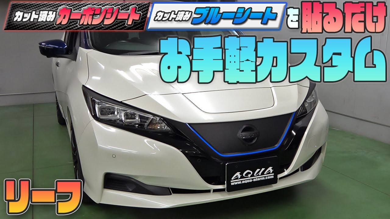 Nissan Leaf] Customize your exterior with pre-cut carbon fiber