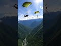 Watch This Handler and Dog Cross Into the Forest
