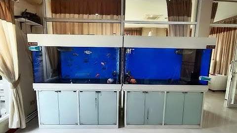 Keng มหาชัย - งานล้างทำความสะอาดตู้ปลา 100% 2 ใบ เป้าหมายเซาะร่องหีวด้านล่างให้ระบายน้ำดีขึ้น Set 1