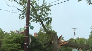 Before storms roll in, here's how to keep your home safe from falling trees