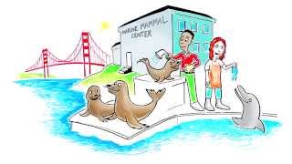Energy Efficiency For Your Business