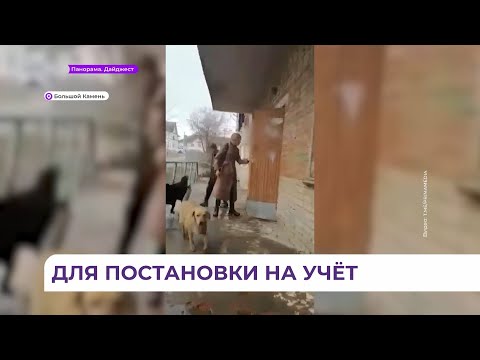 Сотрудники полиции установили личности подростков, которые издевались над женщиной
