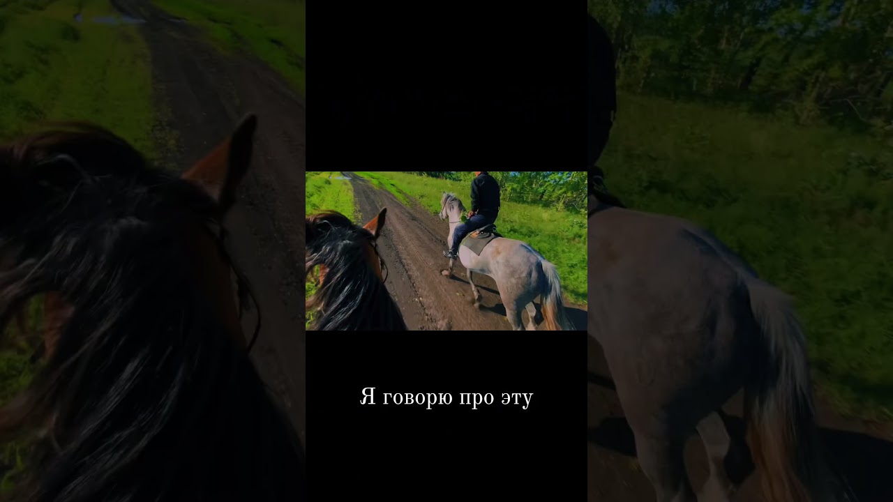 У кого такая же тусовка, я к вам😄 