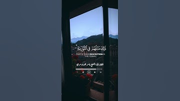 محمد رسول الله والذين معه أشداء على الكفار رحماء بينهم تراهم ركعا | سورة الفتح 🍃🤍#ياسر_الدوسري