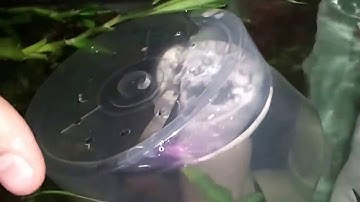 Mar 27, 2013   DIY Overflow silencer. ugly but fast and free