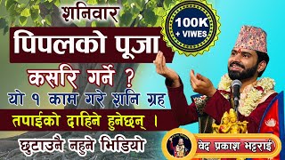 पीपलको पुजा कसरी गर्ने?यसरी गर्नुहोस् पीपलको पुजा सम्पुर्ण मनोकामना पूरा हुनेछ!पीपल पुजा विधि !