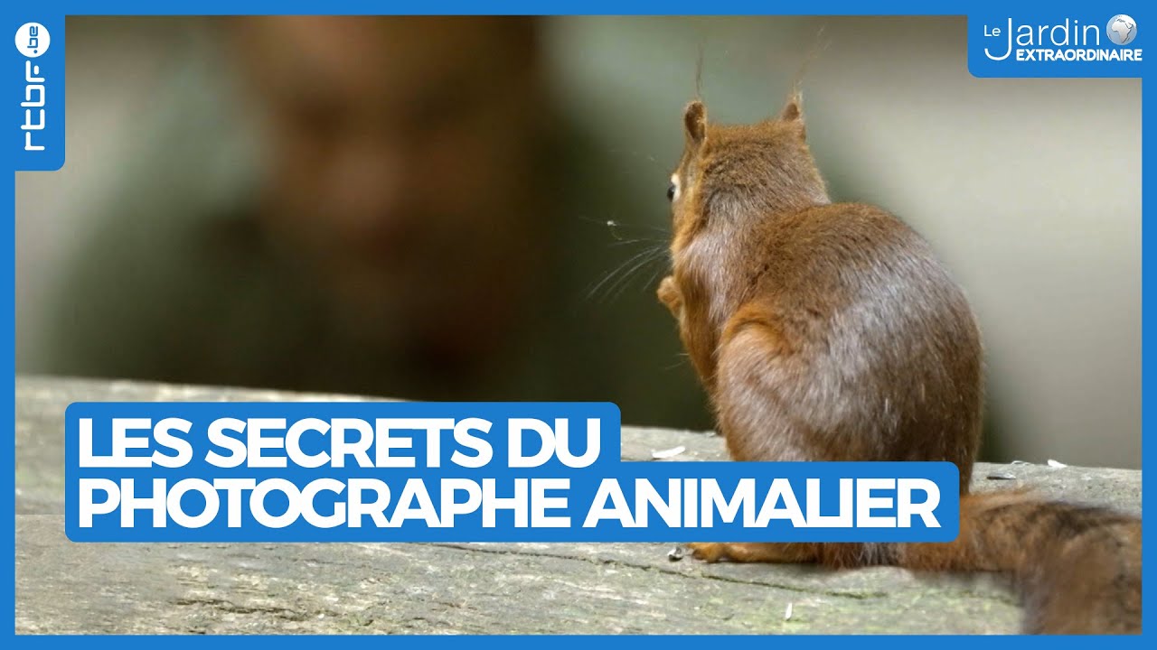 Les secrets du photographe animalier - Le Jardin Extraordinaire 🌍