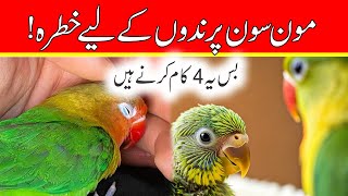 Monsoon Bird Care Preventing Infections & Dampnes Love Birds Breeding Cages & Nest Boxes