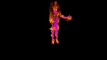 Man On Fire-Fluid and Arnold Test