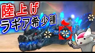 地上戦をするラギアクルス希少種をご存知か？【MHXR】（ゆっくり実況 携）