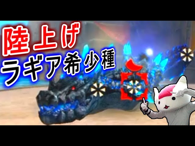 地上戦をするラギアクルス希少種をご存知か？【MHXR】（ゆっくり実況