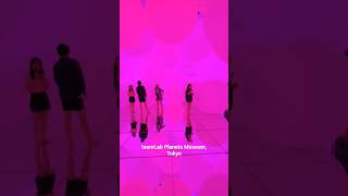 teamLab Museum in Tokyo. Immersive digital art exhibitions, featuring interactive projections
