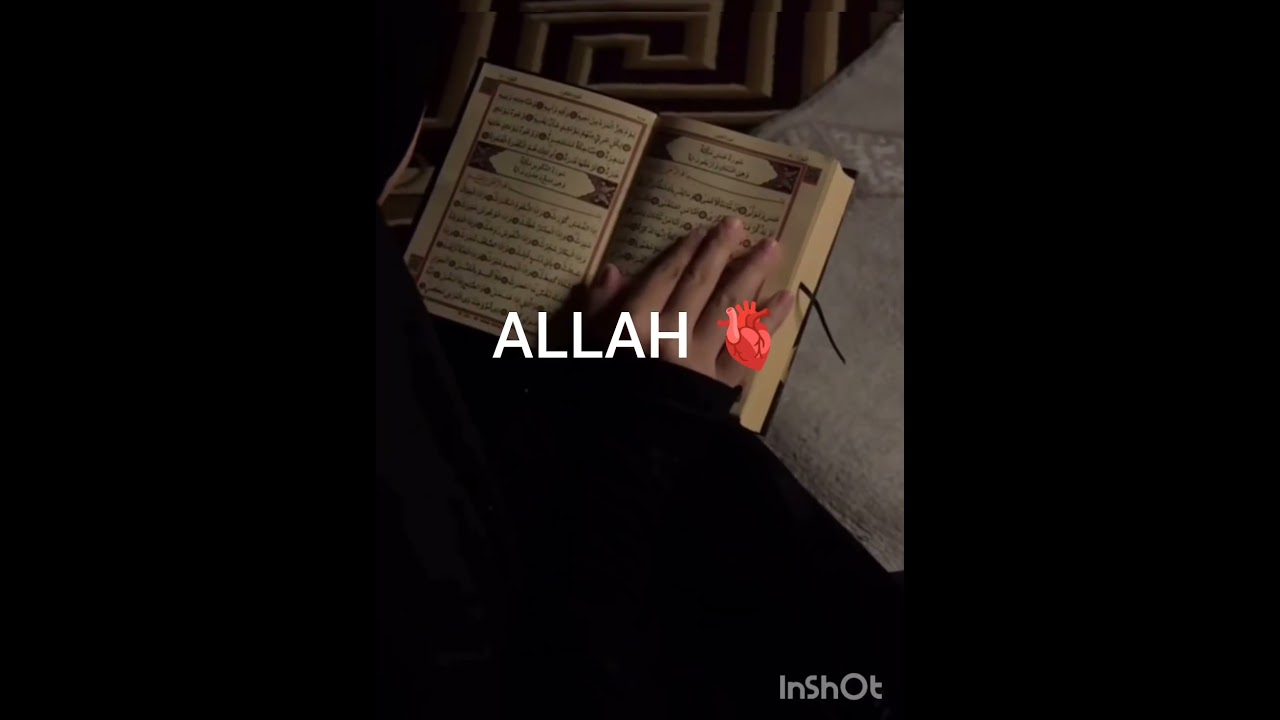 who is your first & last hope 