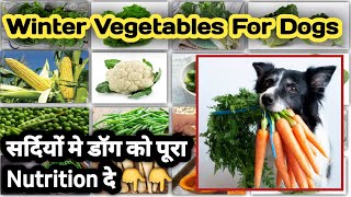 Winter Vegetables For Dogs | पूरा Nutrition दे डॉग को | सर्दियों मे दे ये सब्जियां | Vit  A,C,K etc