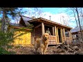 Alone with my Dog at the Cabin, Grilled Bear Steak with Mushrooms | Nature Sounds