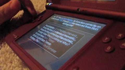 Action Replay DSI Review