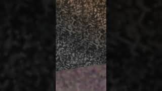 funni art
