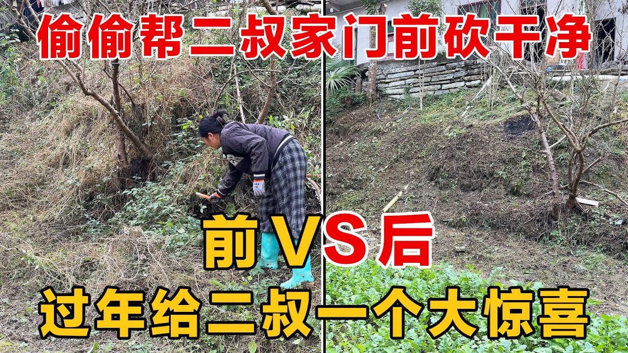 偷偷给二叔家门前杂草清理干净，过年回来给二叔一个大惊喜