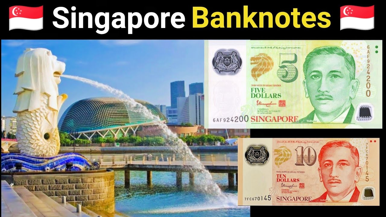 🇸🇬 Singapore Currency 🇸🇬 || Singapore Dollar || Singapore Money ||  Singapore Banknotes