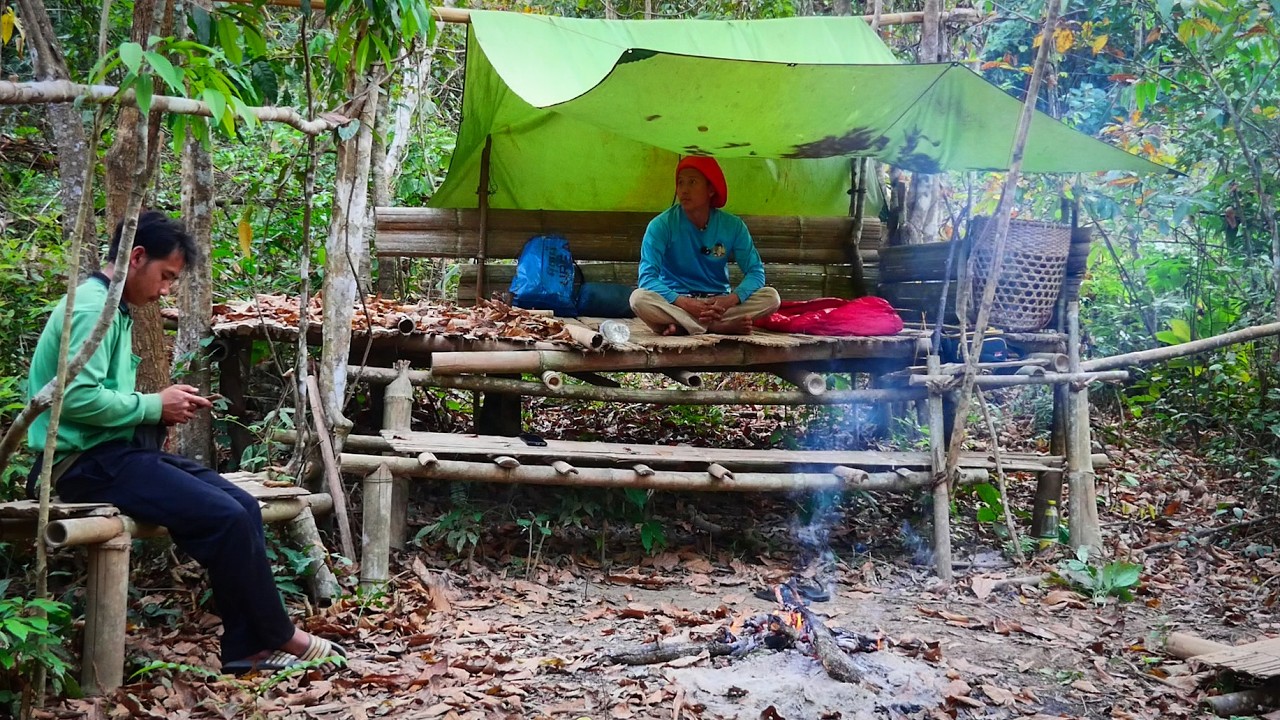 นอนที่พักเก่าตอนปลายฝน ถ้าเจอเสือในป่าให้ปีนต้นไม้แบบนี้หรือกอไผ่จะรอด100% [วรวิช]