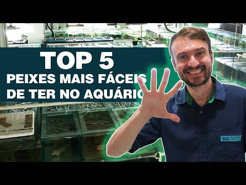 Vídeo: Peixes de água doce semi-agressivos para um aquário tropical