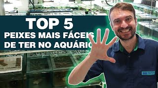 PEIXES MAIS FÁCEIS DE CUIDAR  TOP 5 [Aquário de Água Doce]