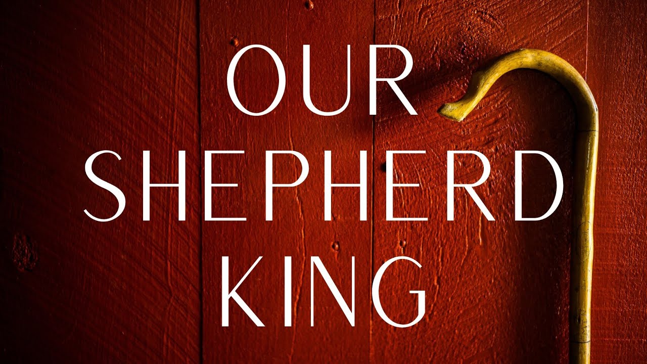 Have No Fear, Little Flock YouTube