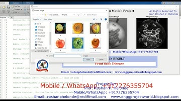 Fruit Disease Detection Using Image Processing With Source Code | Fruit Disease Predict Matlab Code