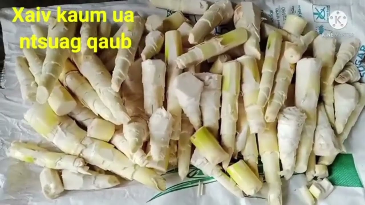 lov ntsuag mus ua ntsuag qaub 